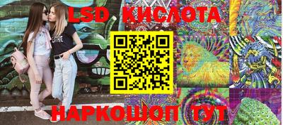 крисы Тулун